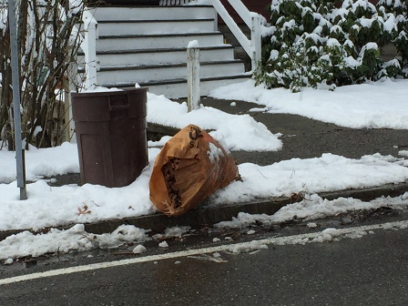 yard waste at curb in snow RS