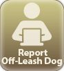 Report-Off-Leash-Dog