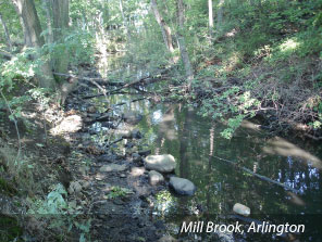 Photo of Mill Brook, Arlington