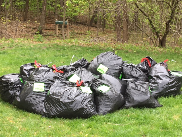 ecoweekcleanup