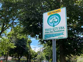 Tree City Sign