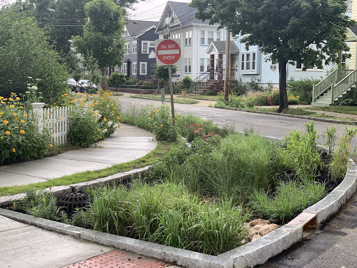 Stormwater management rain garden on Egerton Road