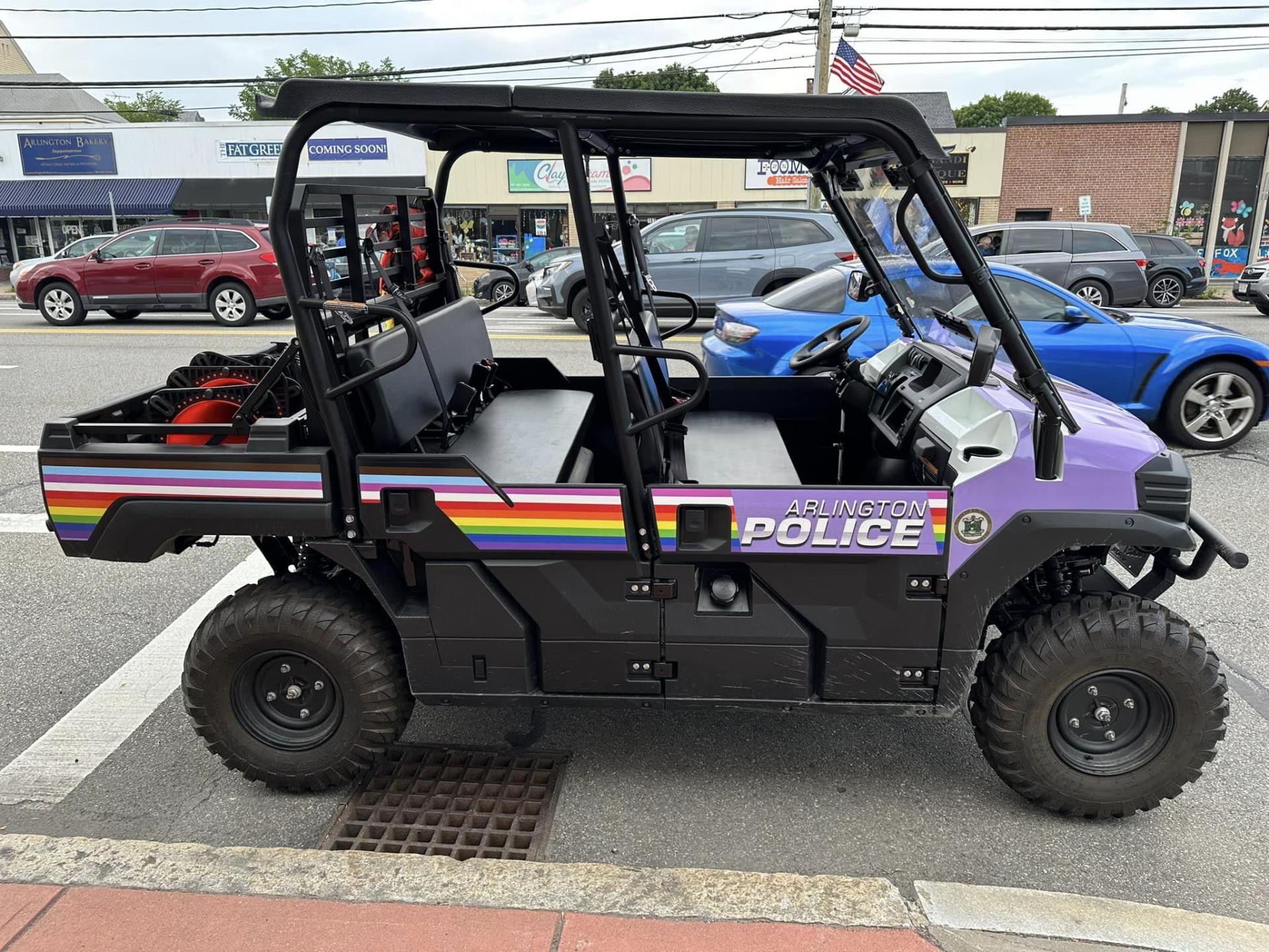 Rainbow Crosswalk Painting Mule