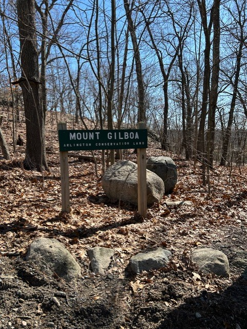 A green trailhead sign amongst woods and boulders that reads Mount Gilboa Arlington Conservation Land