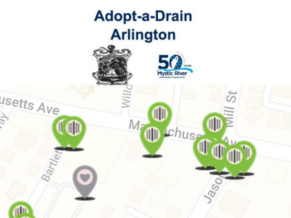 Adopt-a-Drain Thumbnail