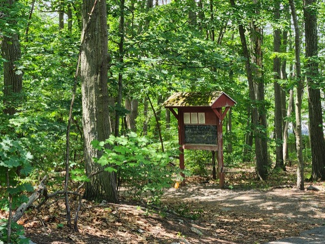 Kiosk and chalkboard signage at Mt. Gilboa trail head