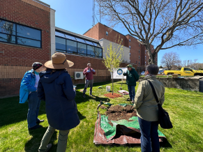 People observing a tree planting outside.