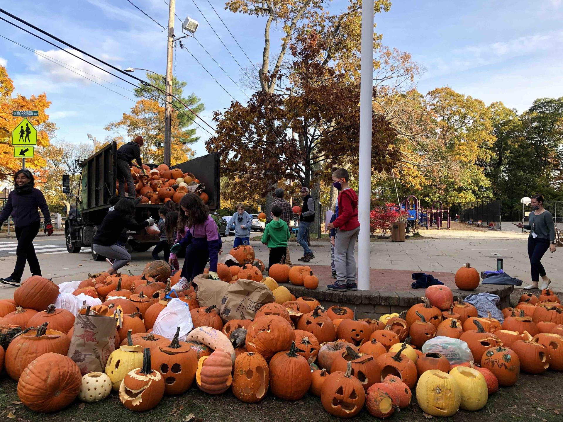 brackettpumpkinloading